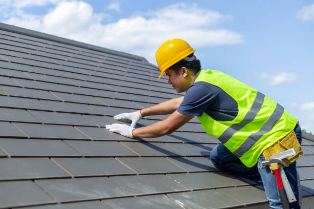 Best Roof Gutter Cleaning  in Macon, GA