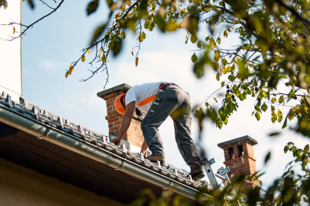 Best Residential Roofing Contractor  in Macon, GA
