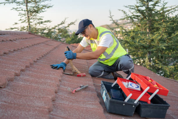 Best Affordable Roofing Company  in Macon, GA