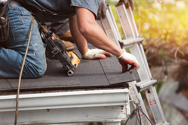 Best Roof Gutter Cleaning  in Macon, GA