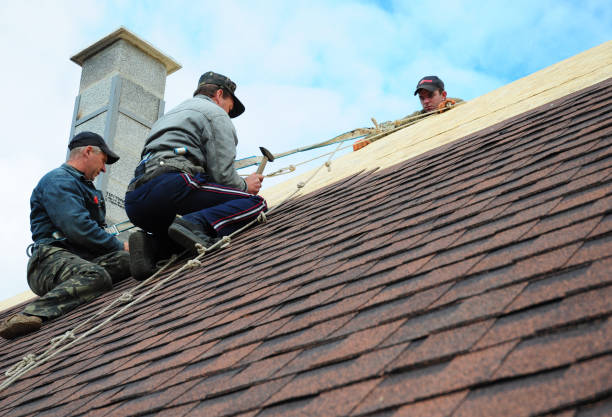 Best New Roof Installation  in Macon, GA